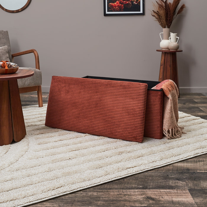 Coffre Banc Pliable Cotele Scott Terra