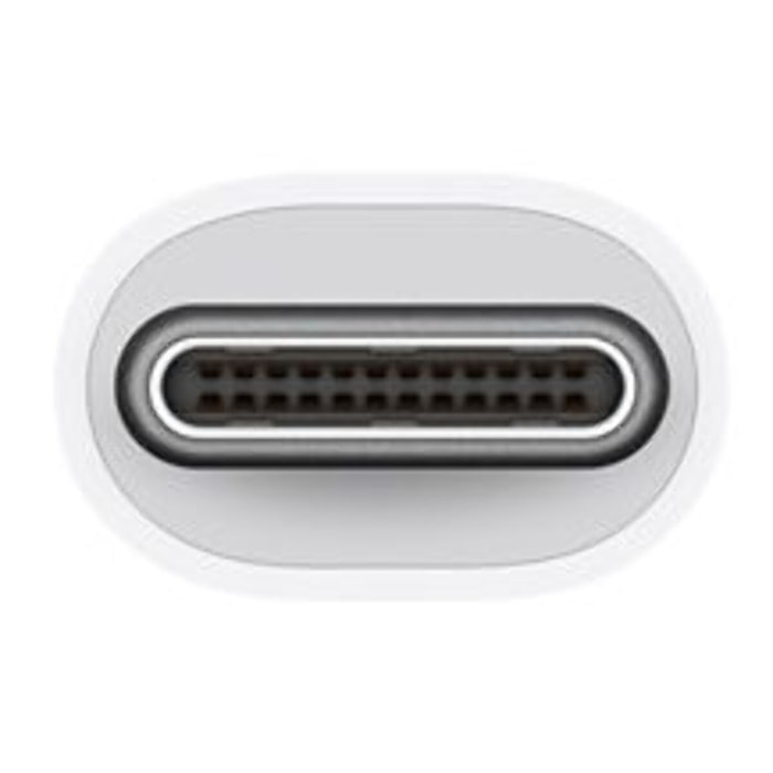 Adaptateur USB C APPLE USB-C / VGA Multiport