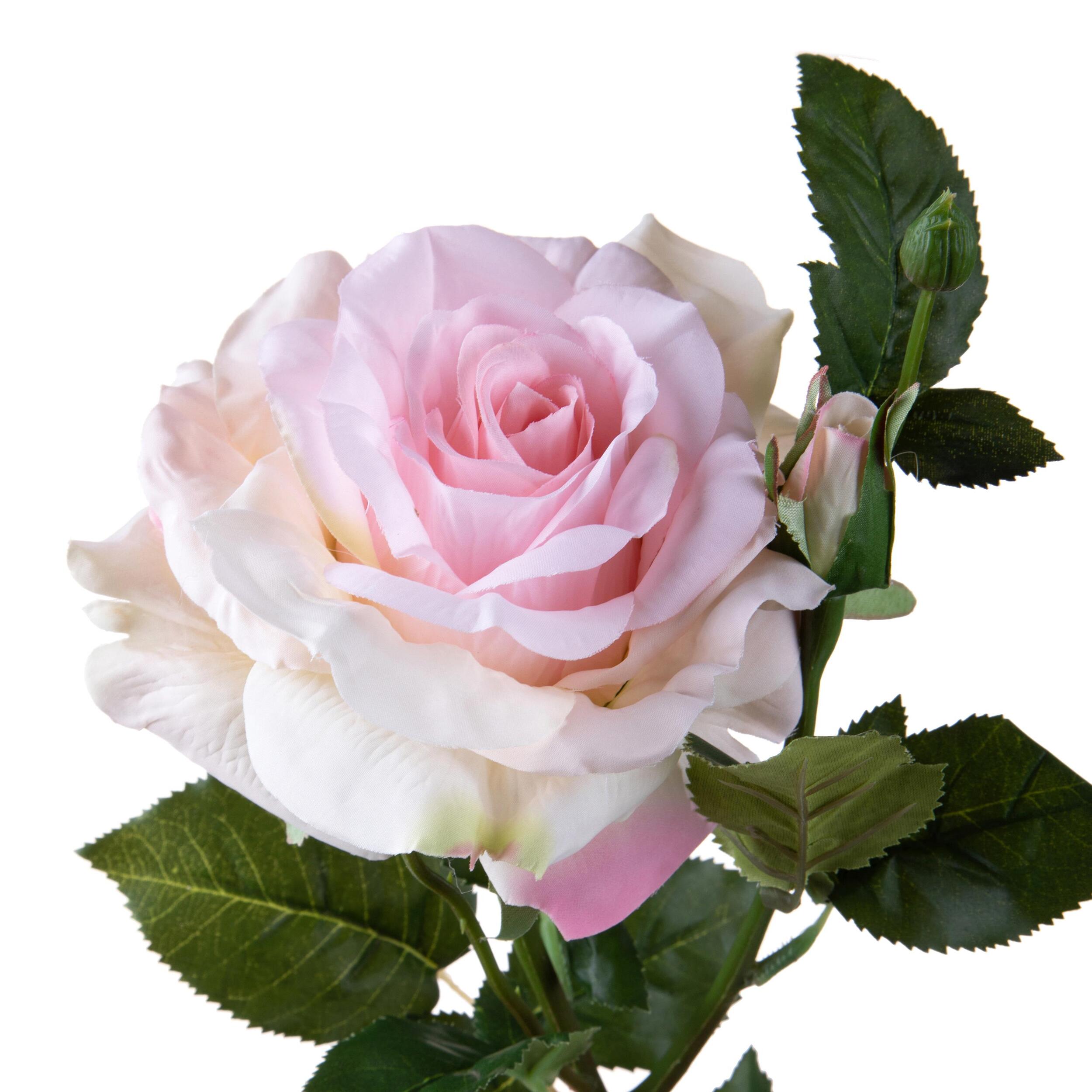 Rosa con boccio - Pezzi 2 - Colore:Rosa - Bianchi Dino