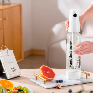 Máquina portátil KT-128A para preparar agua con gas y bebidas carbonatadas en casa. 1L de capacidad.