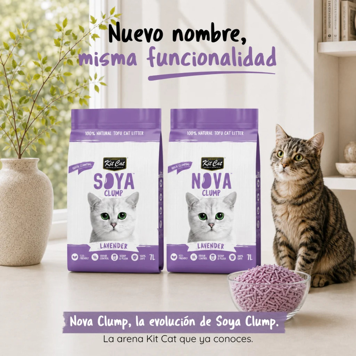 Kit Cat Arena Eco Nova - Lavender 7 L Arena para gatos