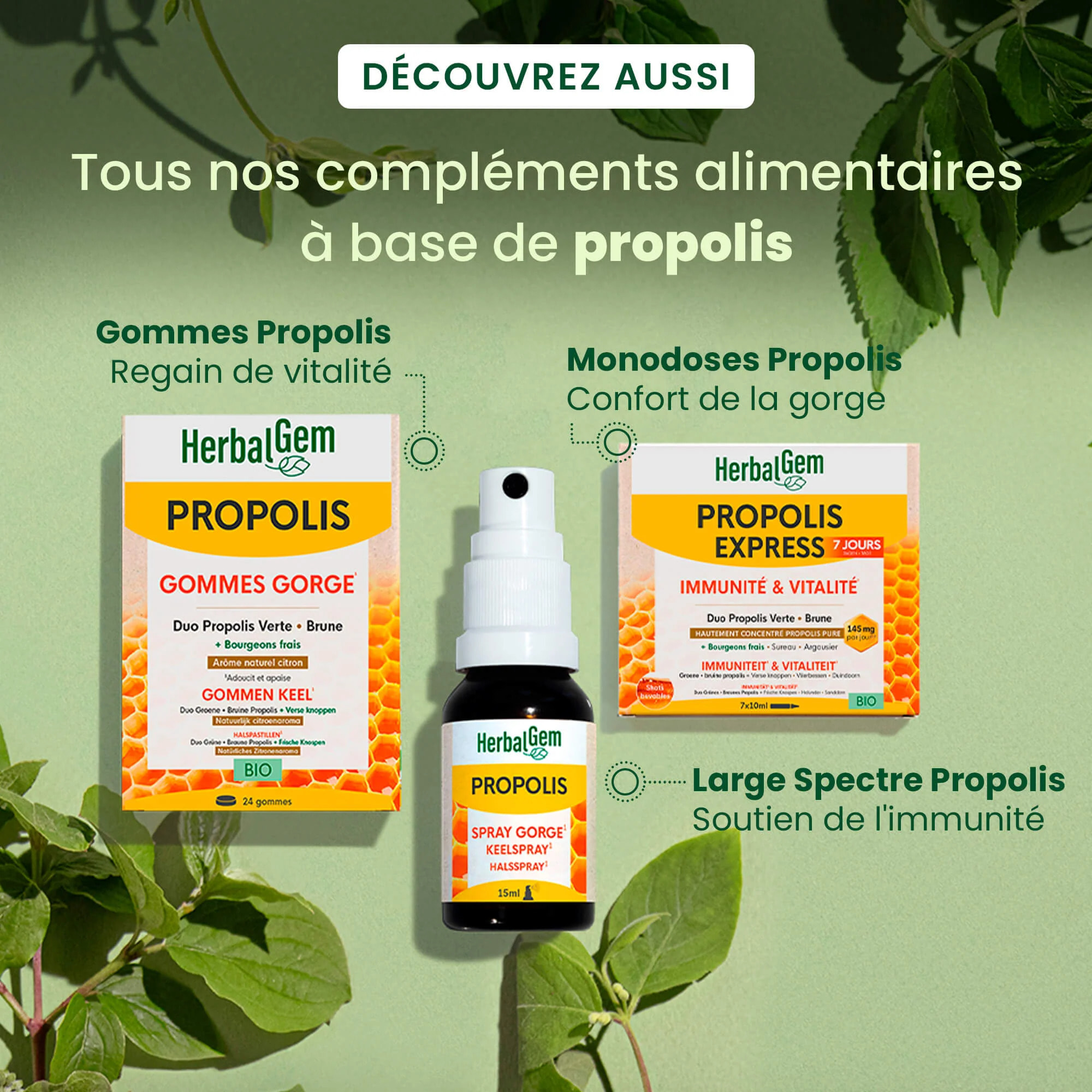 Herbalgem- Propolis Gouttes Immunité - Bio - 15 ml