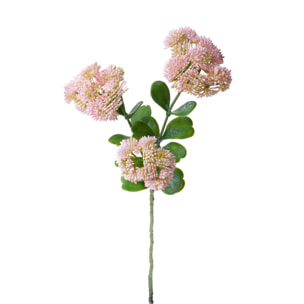 Sedum per 3 altezza 56 Cm - Pezzi 6 - 17X56X17cm - Colore: Rosa - Bianchi Dino - Fiori Artificiali