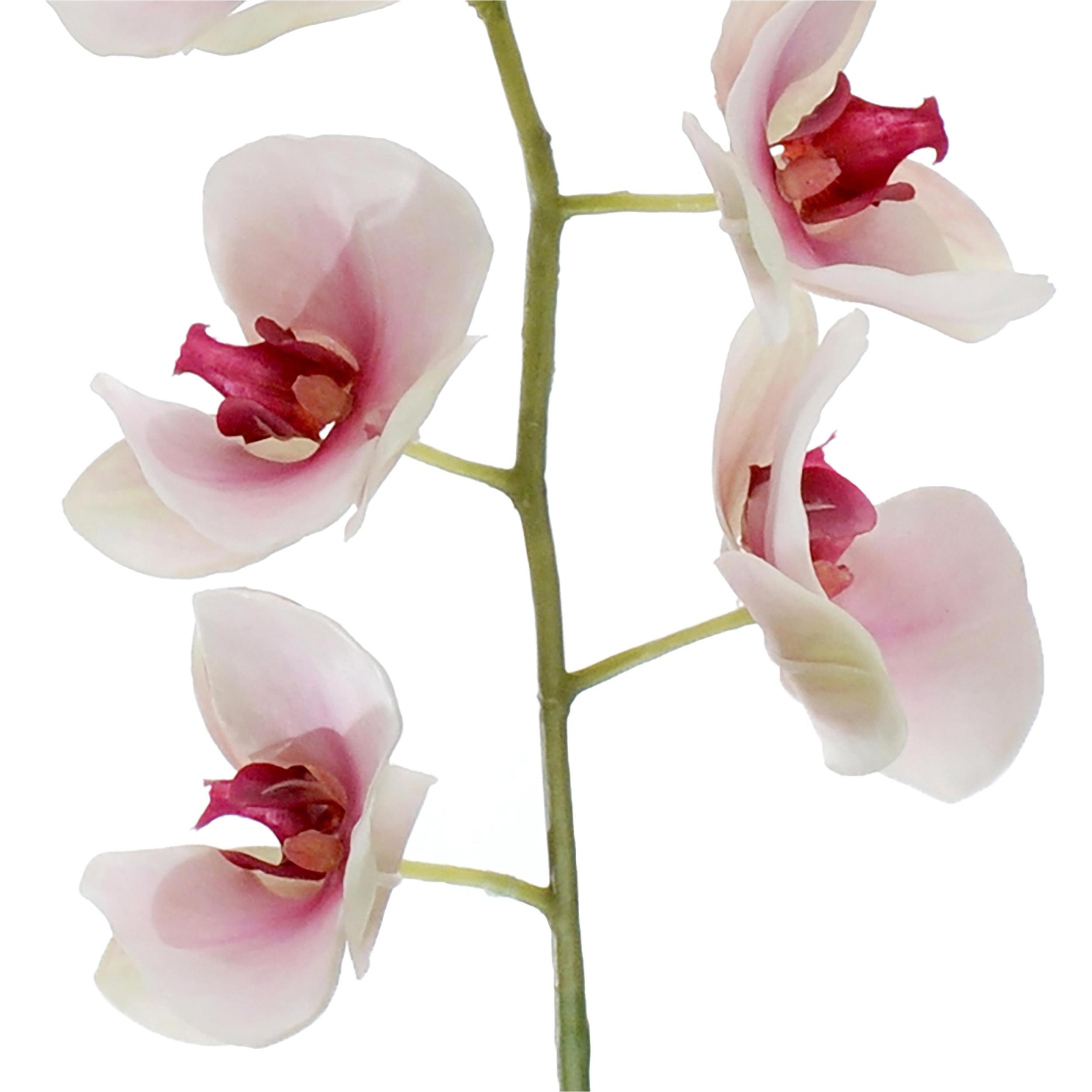 Phalaenopsis. Altezza 95 Cm - Pezzi 1 - 17X95X10cm - Colore: Bianco - Bianchi Dino - Fiori Artificiali