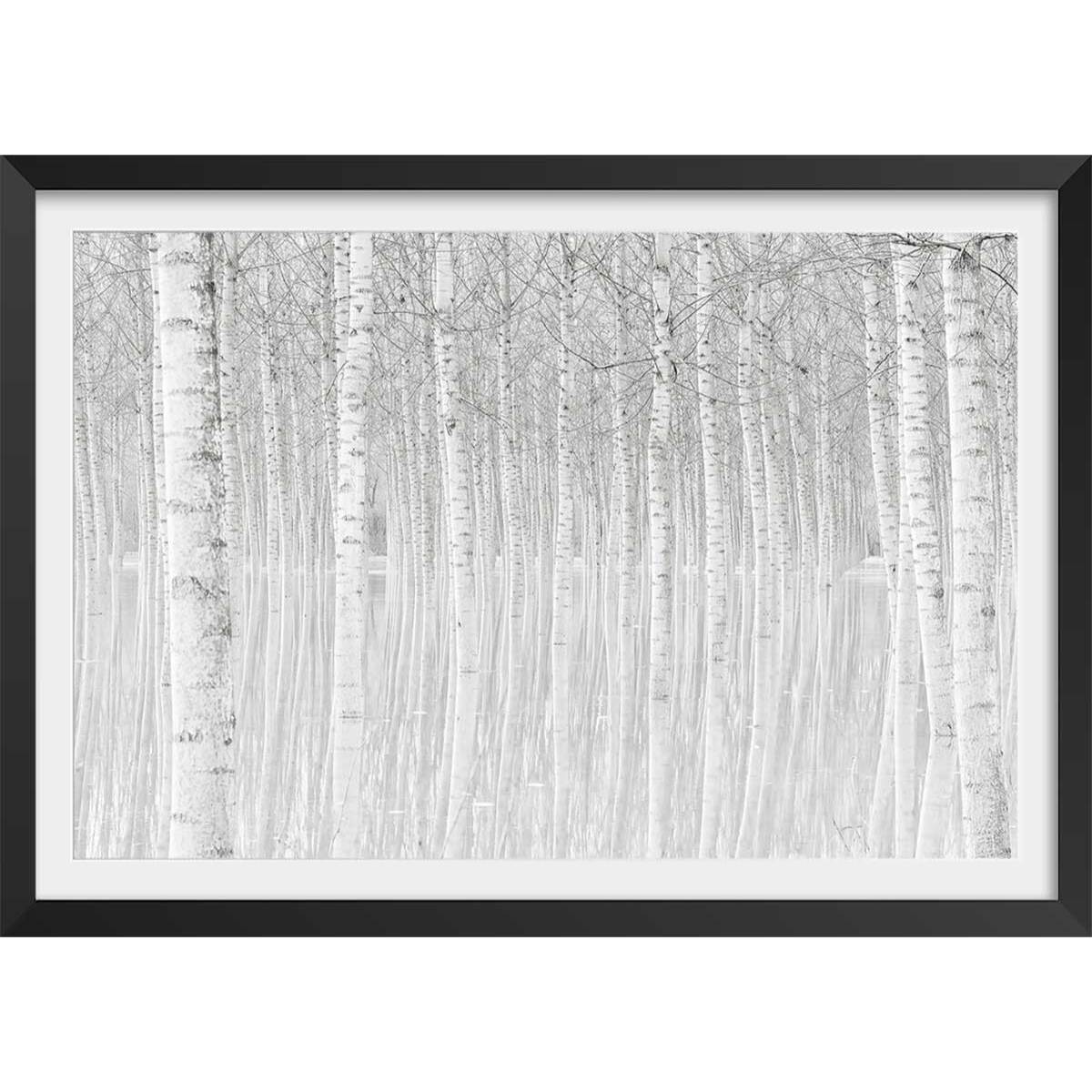 Affiche nature perspective trees Affiche + cadre en bois - Noir
