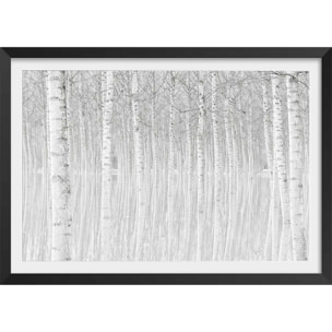 Affiche nature perspective trees Affiche + cadre en bois - Noir