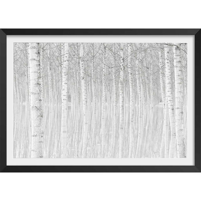 Affiche nature perspective trees Affiche + cadre en bois - Noir