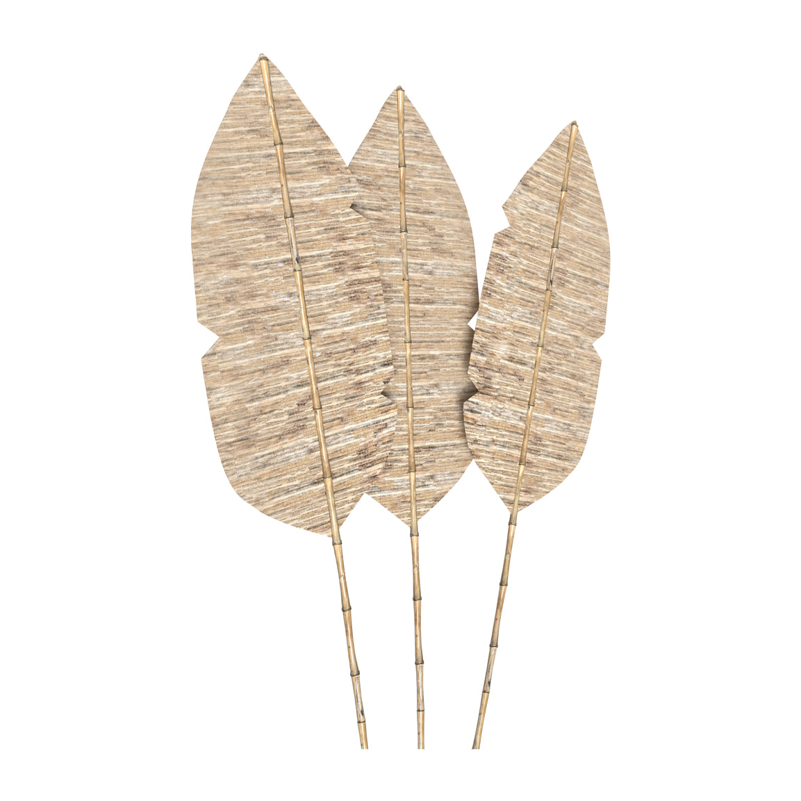 Palmes Major en bambou naturel (lot de 3)