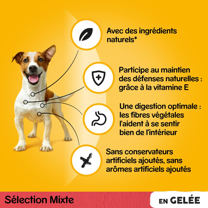 PEDIGREE 72 Sachets fraîcheur en gelée 4 variétés pour chien 100g (6x12)