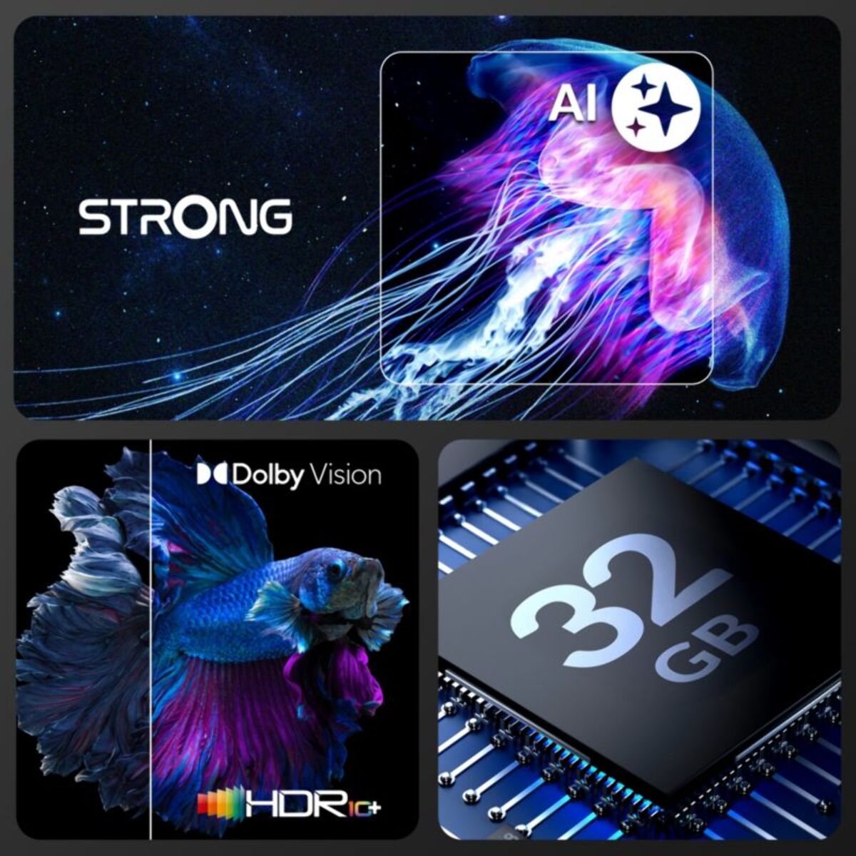 Clé STRONG LEAP NOVA