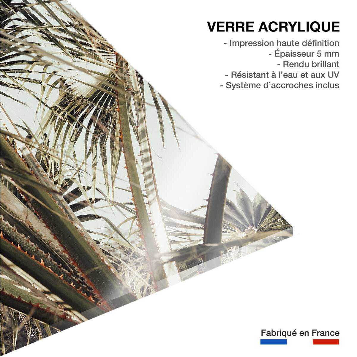 Tableau cœur de palmier Tableau plexiglas