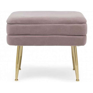 PANCA CONTENITORE PAVLINA MAUVE 50X35X42 cm