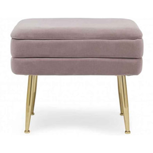 PANCA CONTENITORE PAVLINA MAUVE 50X35X42 cm