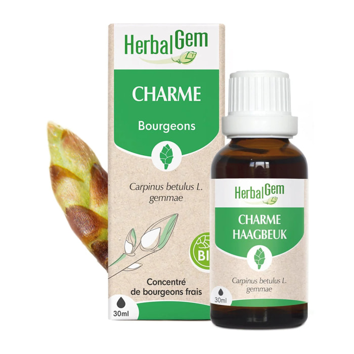 Herbalgem- Bourgeon de Charme - Bio - 30 ml
