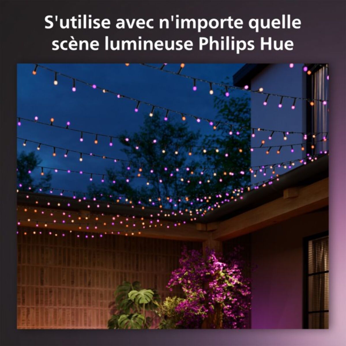 Guirlande lumineuse PHILIPS HUE W&C Festavia 500 Leds