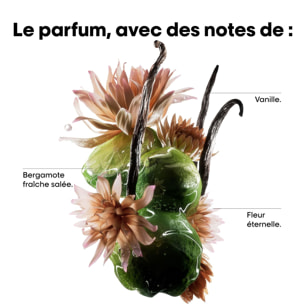 Serie Expert Absolut Repair Molecular - Sérum à Rincer