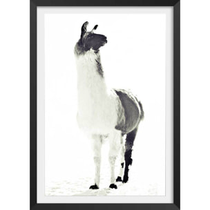 Affiche enfant noir et blanc Affiche + cadre en bois - Noir