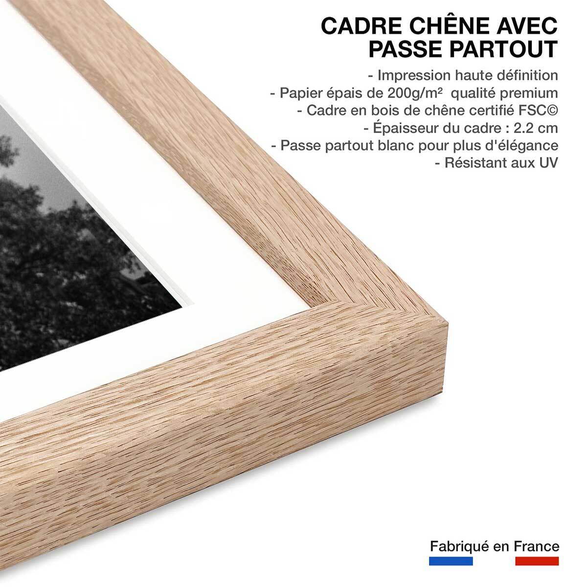 Affiche photo Ski à roulette au Champs Elysée - Paris, 1953 Affiche + cadre en bois - Chêne