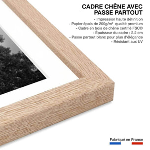 Affiche photo Ski à roulette au Champs Elysée - Paris, 1953 Affiche + cadre en bois - Chêne