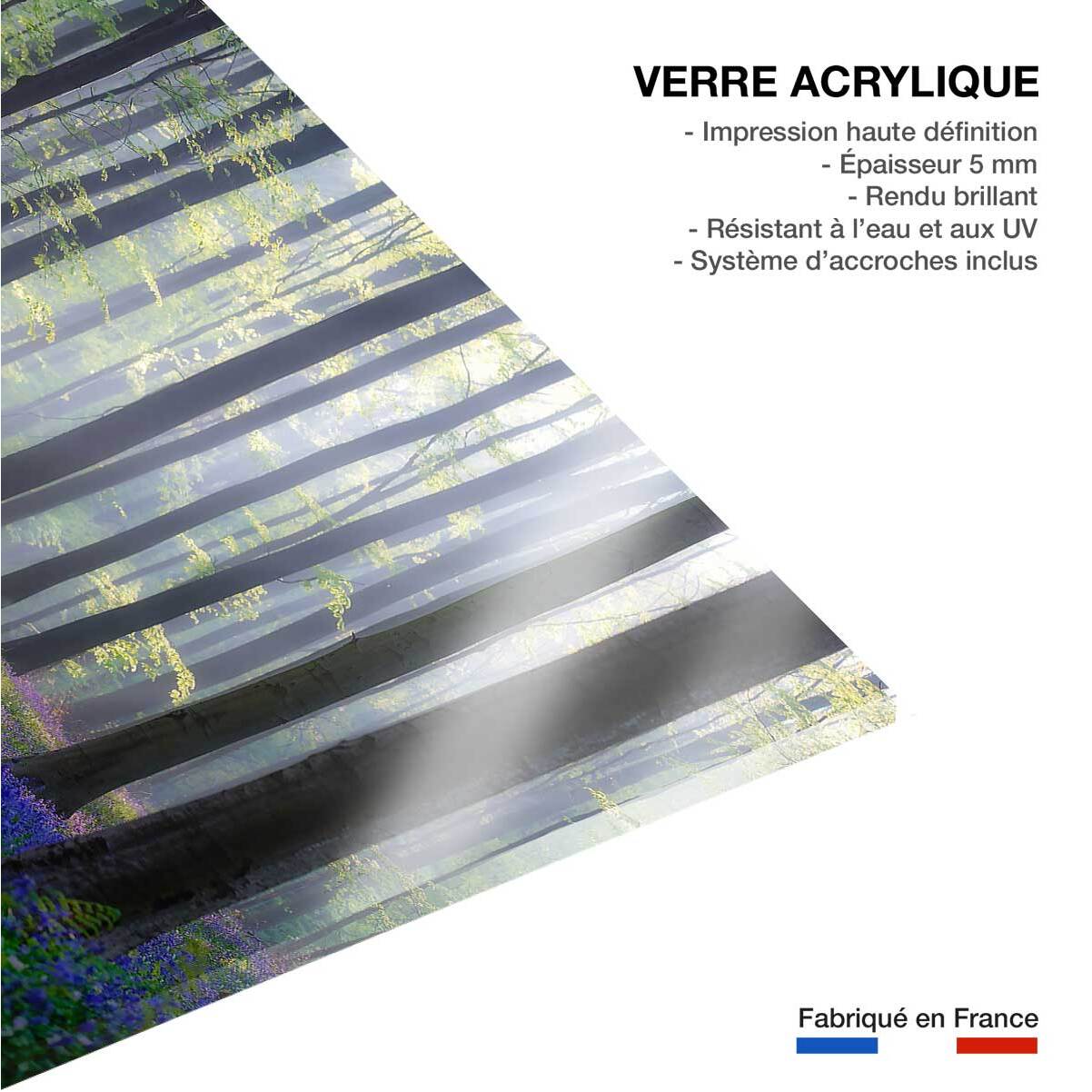 Tableau nature jacinthes et sous-bois Tableau plexiglas