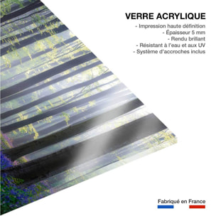Tableau nature jacinthes et sous-bois Tableau plexiglas