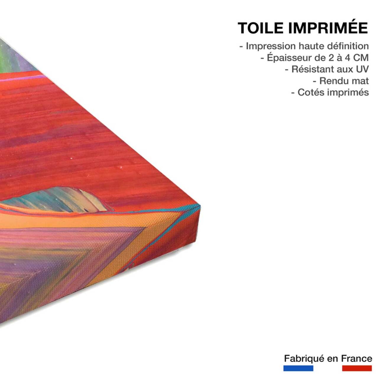 Tableau design plumo  Toile imprimée