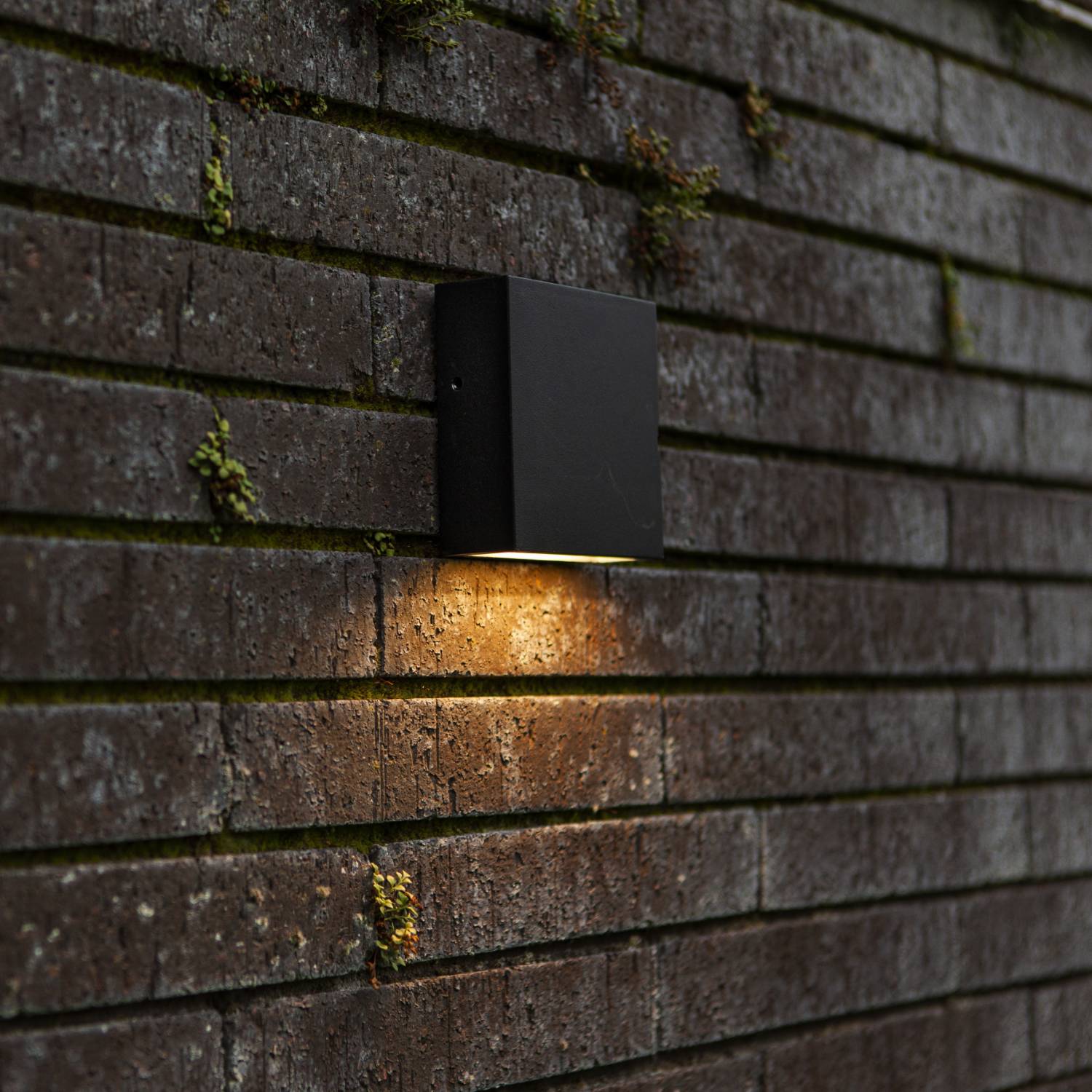 Applique murale secteur GEMINI XF BLACK