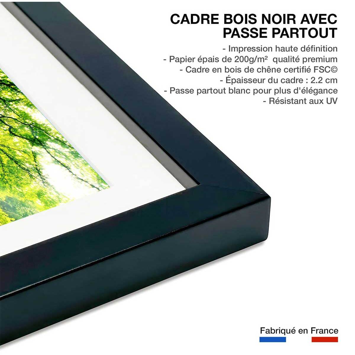 Affiche nature l 'hêtre de ponthus Affiche + cadre en bois - Noir