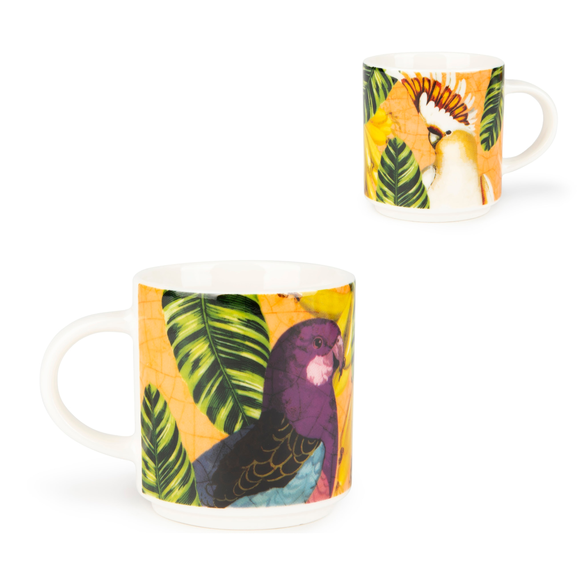 Set 6 Tazze Caffè Excelsa – Havana, New Bone China Multicolore