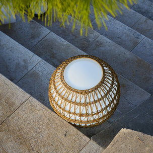 Habillage boule lumineuse 40cm polyrotin