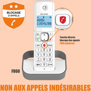 Téléphone sans fil ALCATEL F860 Duo Grey