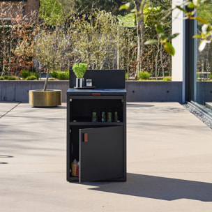 Module de cuisine extérieure acier 2 portes L60cm THIRA