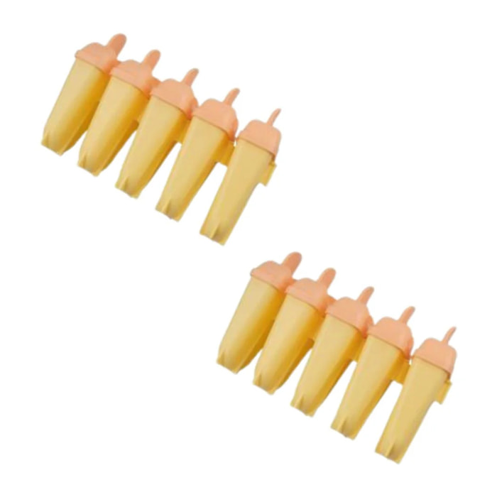 Ensemble de 10 Moules pour glaces à l'eau maison Fackelmann Summer Party