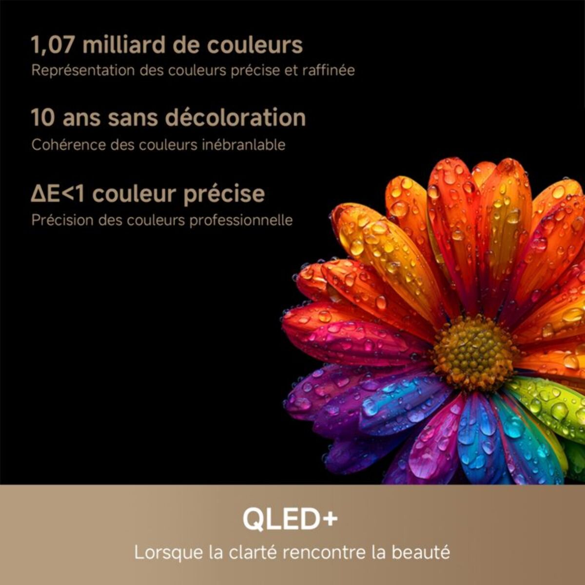 TV Mini Led DREAME 55S100