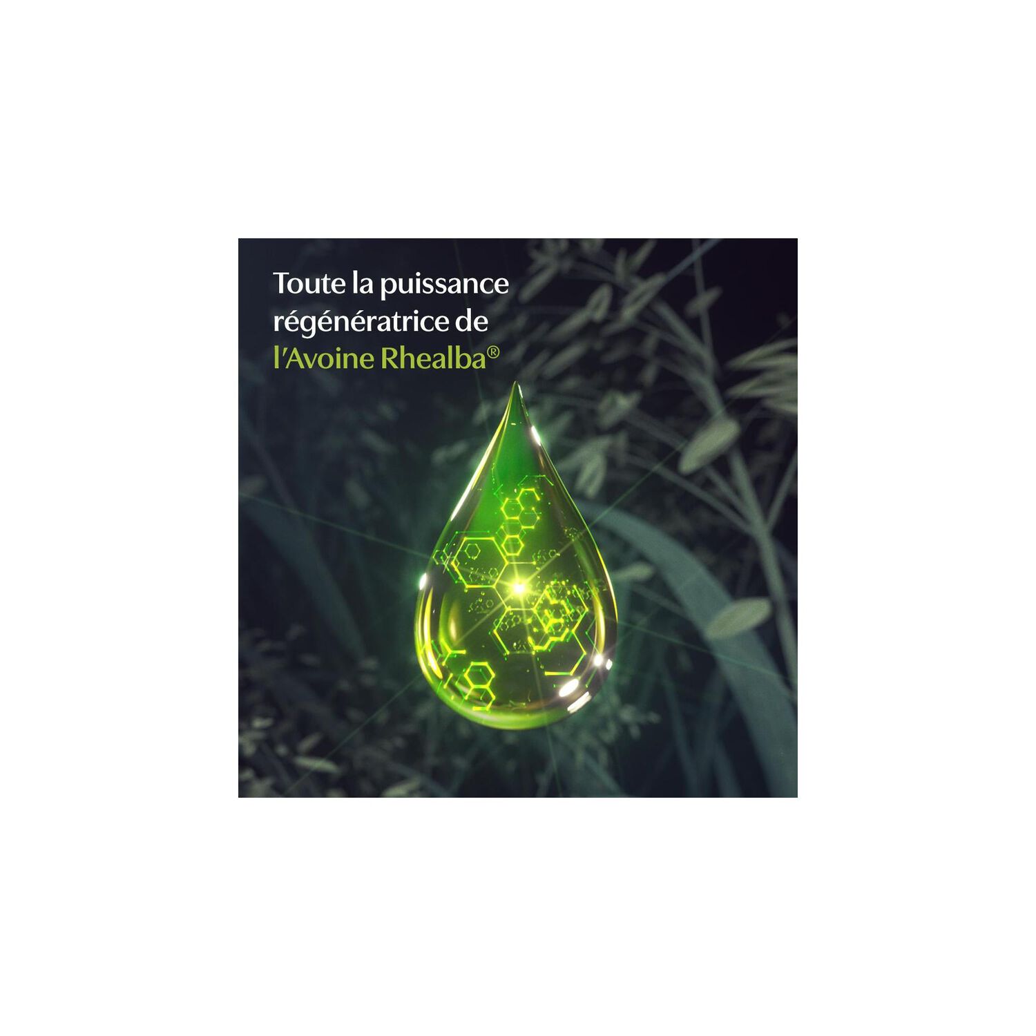 Les Indispensables - Gel Douche Hydra-Protecteur