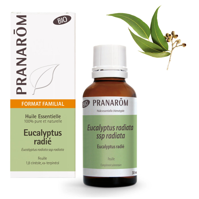 Pranarom - Huile Essentielle d'Eucalyptus radié - Bio - 30 ml