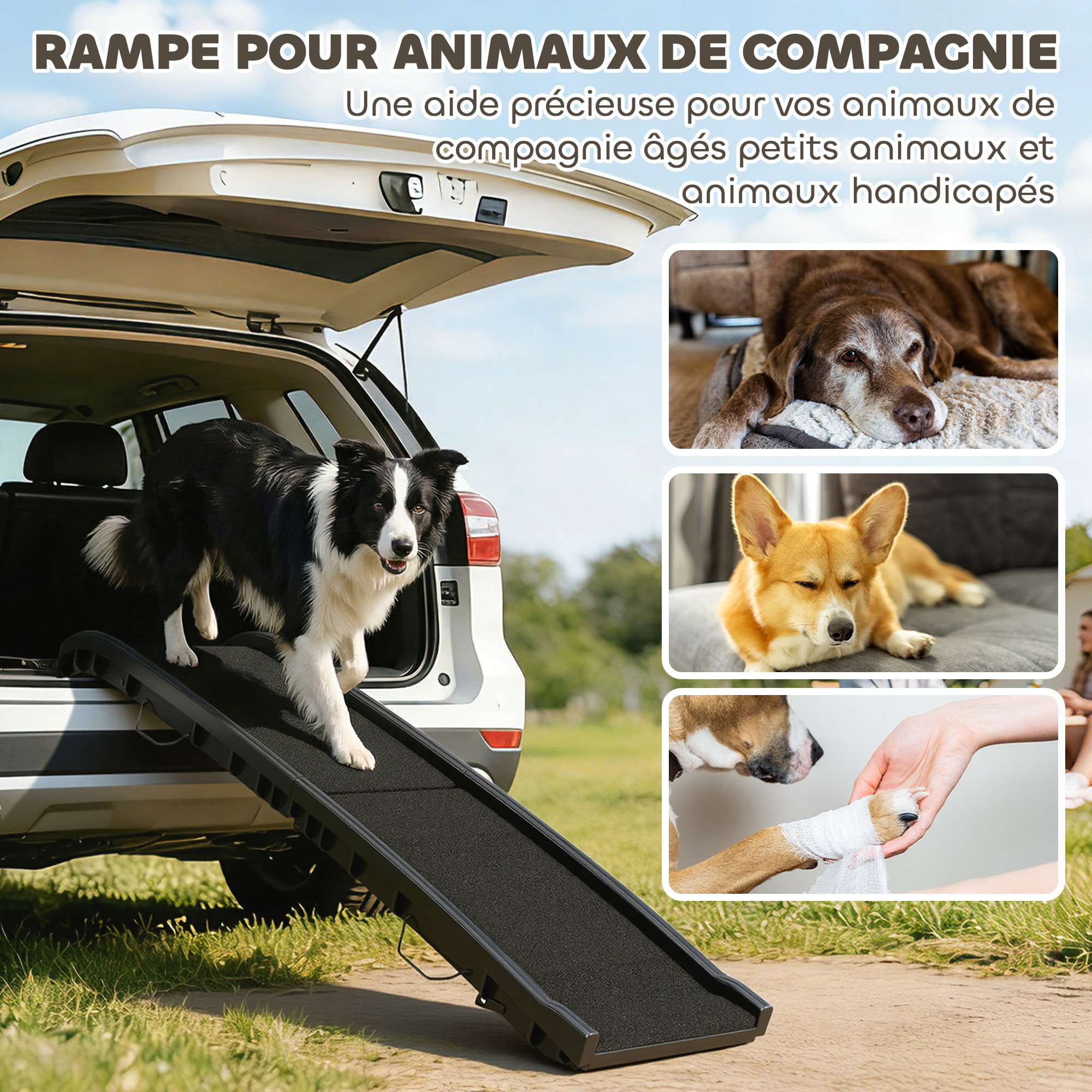 Rampe pliable chien surface antidérapante 155x38x15cm plastique noir