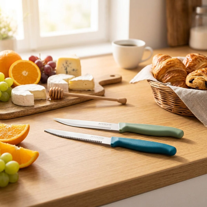 Set de 2 couteaux d’office et à petit déjeuner 22,5 cm Nirosta Elemental
