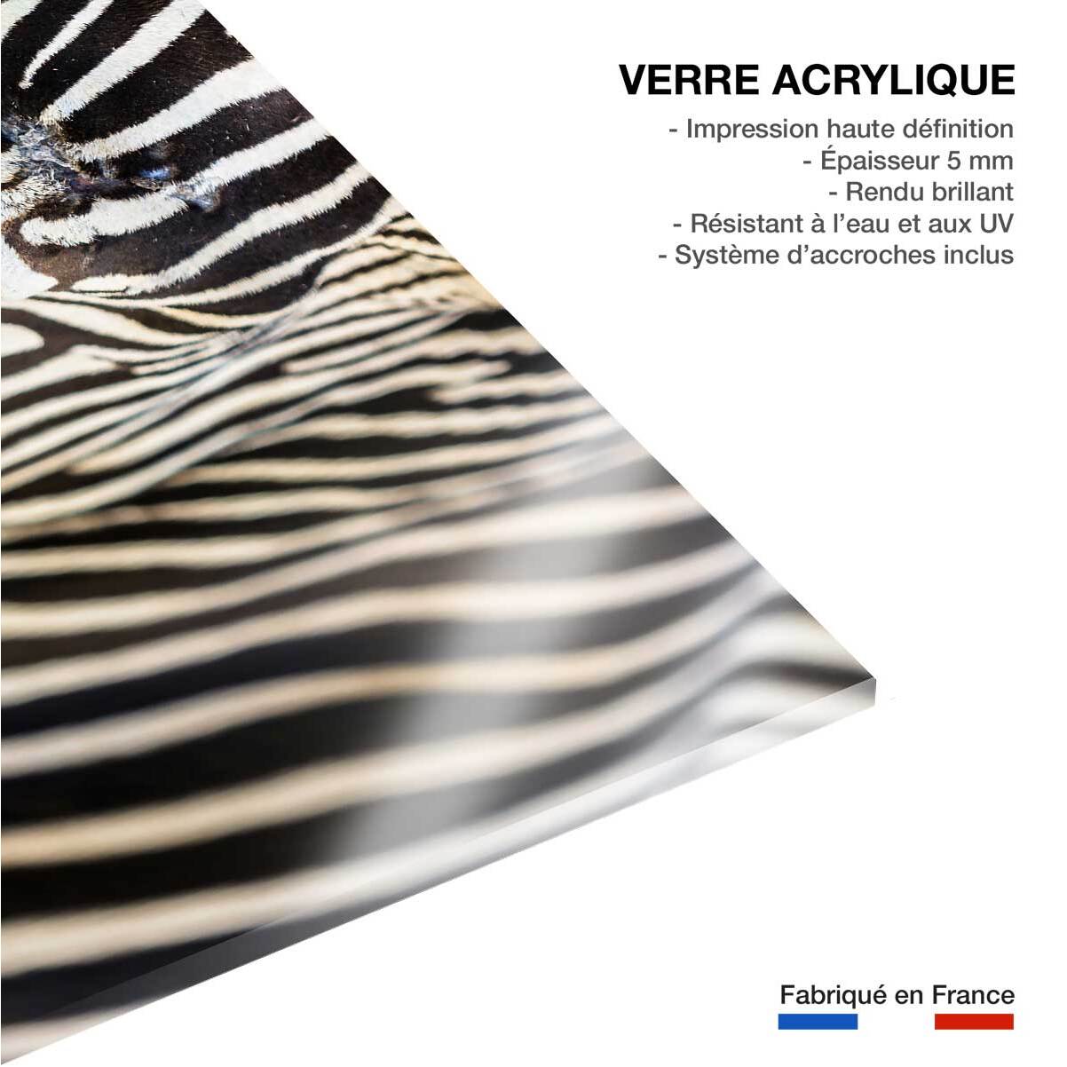 Tableau zèbre Tableau plexiglas