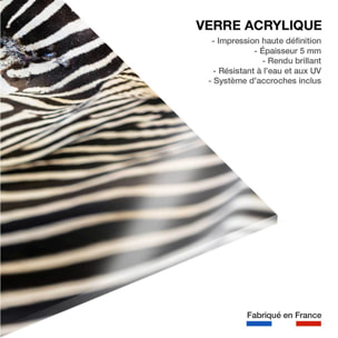 Tableau zèbre Tableau plexiglas