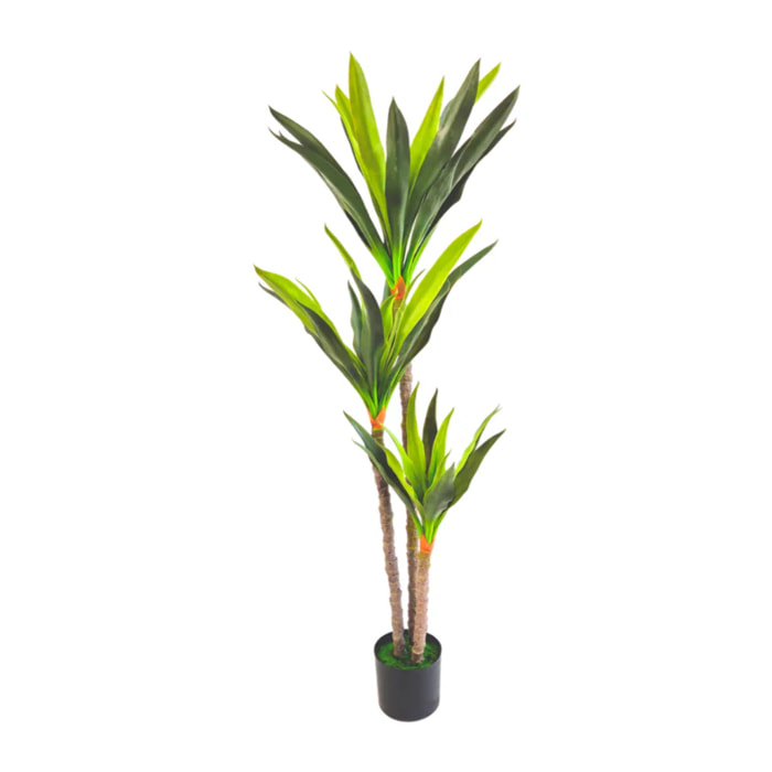 Pianta artificiale per interno Dracena 3 tronchi cm 150 con vaso