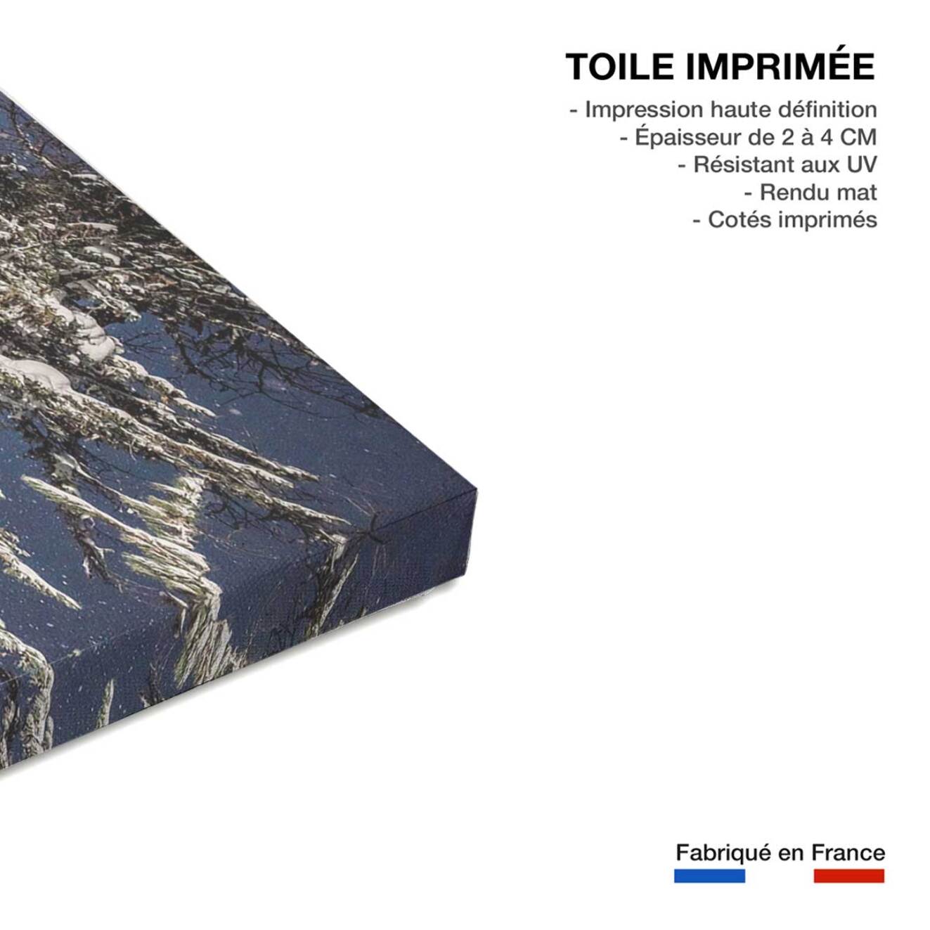 Tableau ski session Toile imprimée