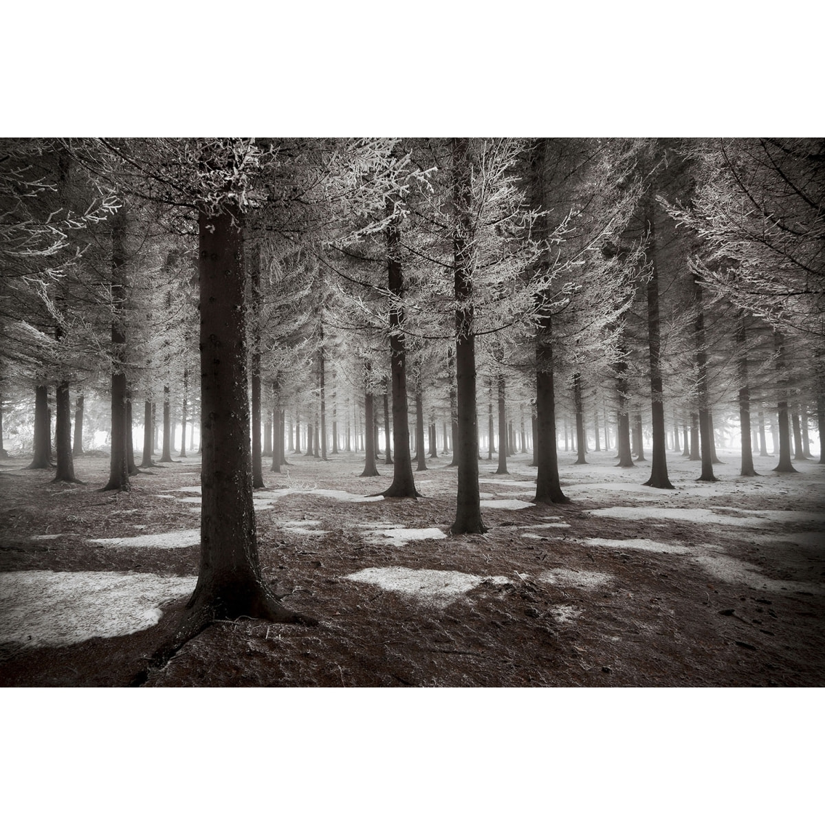 Tableau deco debut d'hiver Tableau plexiglas