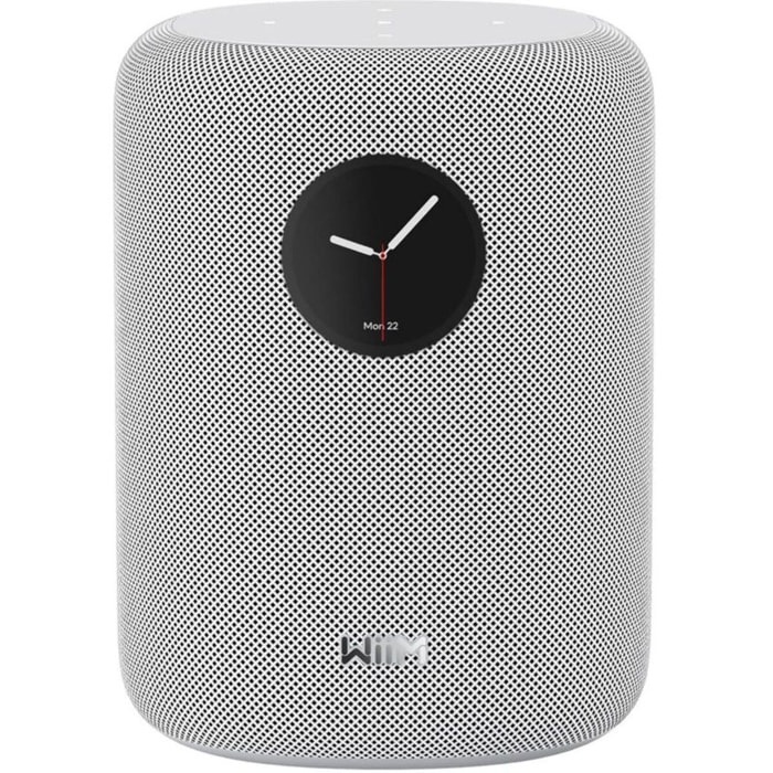 Enceinte Multiroom WIIM Sound White with display