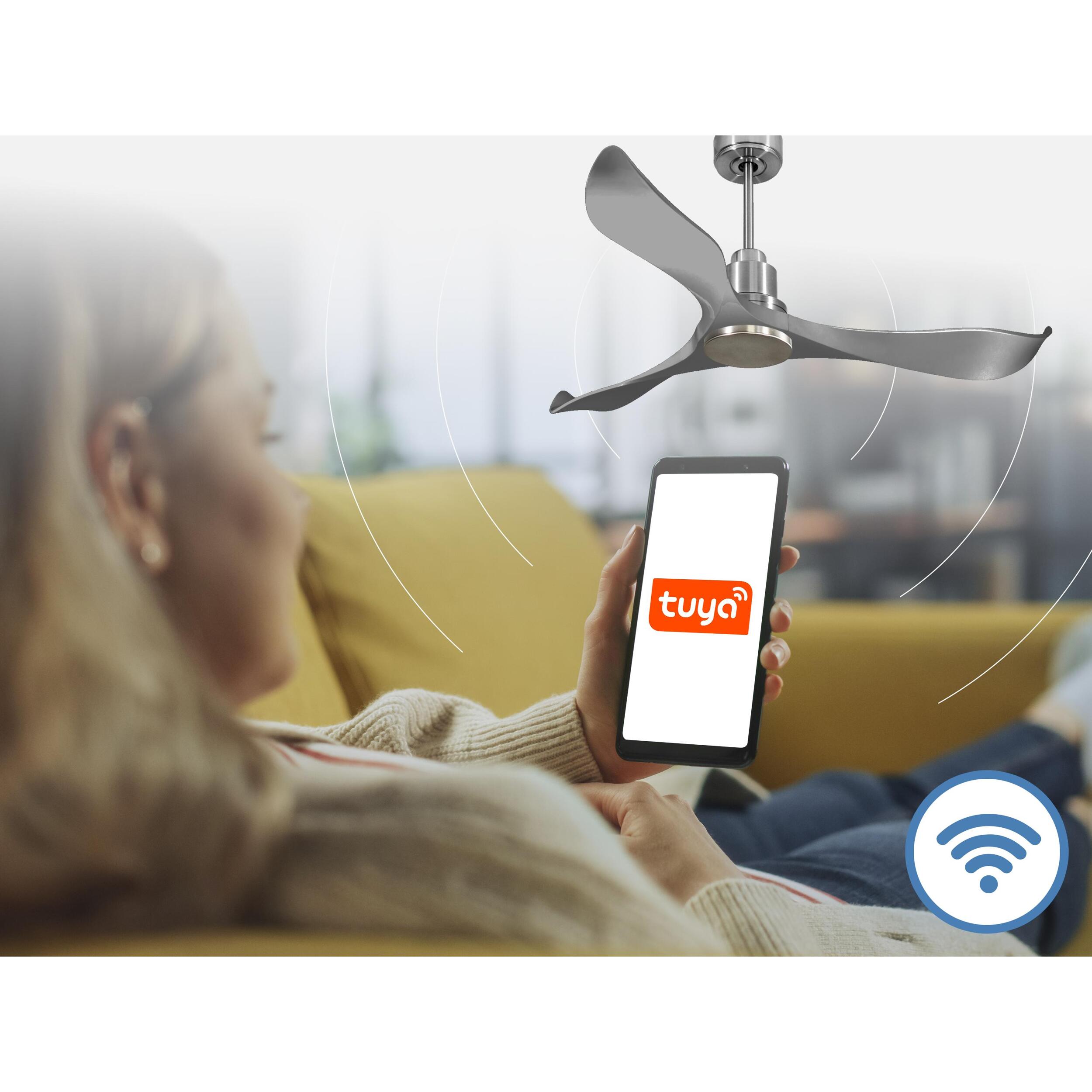 Ventilador de techo Modo Invierno/Verano Termostato Wifi Motor DC Techos Inclinados Mando a Distancia Hypersilence Memoria Vendible Shopify (AUTOMATICO) TrawanganD132C0464483 PURLINE