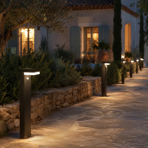 Potelet solaire CENOVA TALL H50CM 600LM