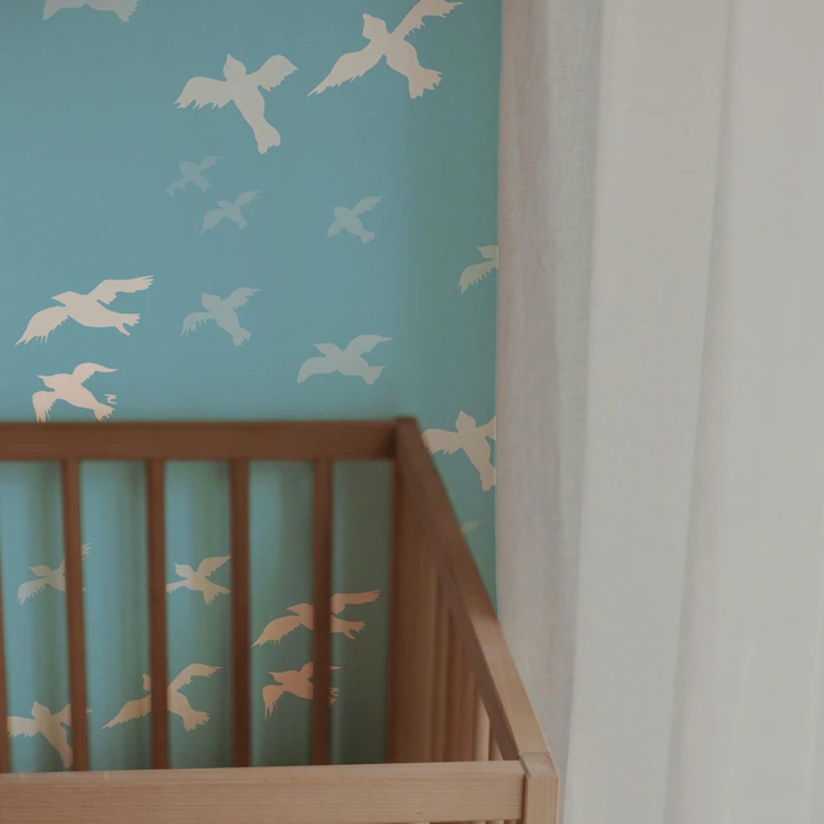 Carta da Parati Ufficiale Il Piccolo Principe Uccelli Volo