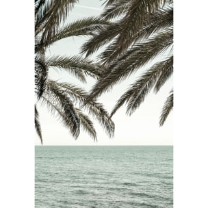 Tableau plage tropicale secrète Tableau alu Dibond