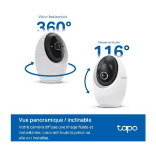 Caméra de surveillance TP-LINK Tapo C260
