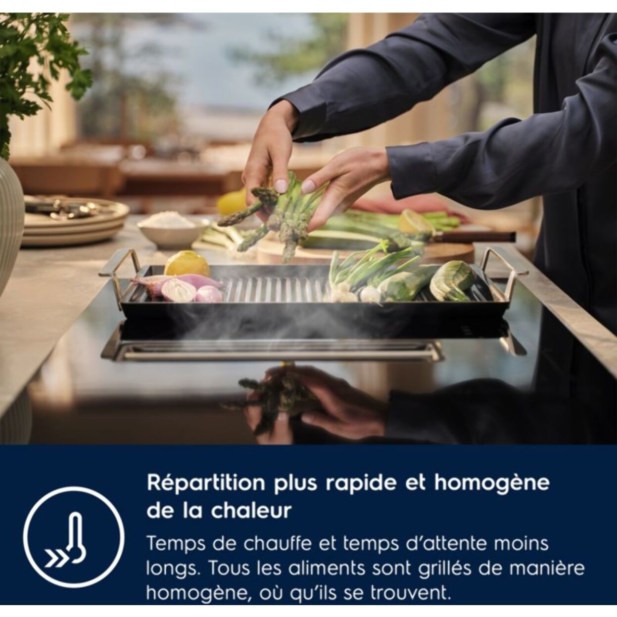 ACCESSOIRE ELECTROLUX Plancha grill pour four et table E9HHPG11